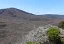 Le Parc du Volcan, Tampon, île de La Réunion