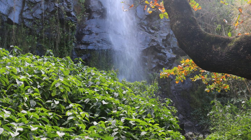 Un nouvel éco-lodge à Anse des Cascades, Sainte-Rose, île de La Réunion