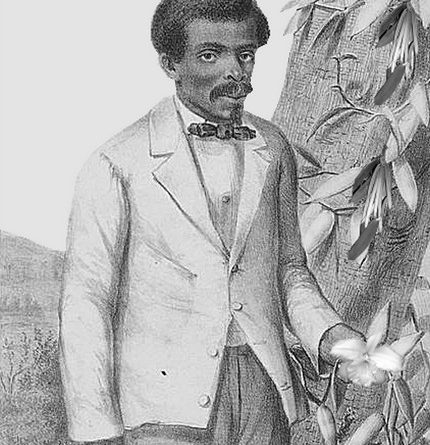 Edmond Albius, l'inventeur du procédé de fécondation de la vanille