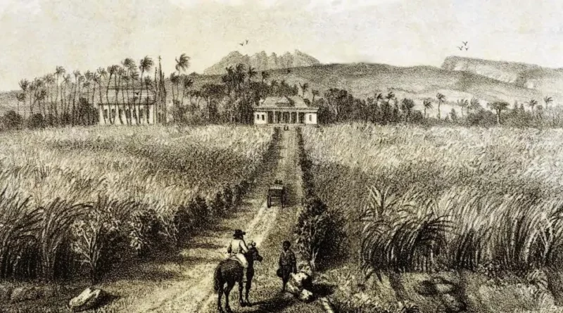 Domaine de Bel Air, Sainte-Suzanne, île de La Réunion