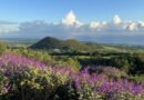 Dormir dans un hôtel de luxe sur l'île de La Réunion avec une vue magnifique, direction le Diana Déa Lodge