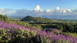 Dormir dans un hôtel de luxe sur l'île de La Réunion avec une vue magnifique, direction le Diana Déa Lodge