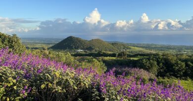 Dormir dans un hôtel de luxe sur l'île de La Réunion avec une vue magnifique, direction le Diana Déa Lodge