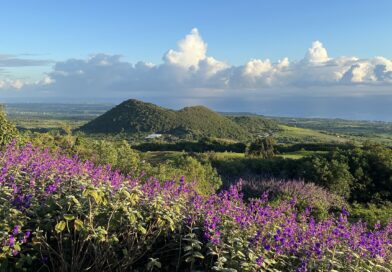 Dormir dans un hôtel de luxe sur l'île de La Réunion avec une vue magnifique, direction le Diana Déa Lodge