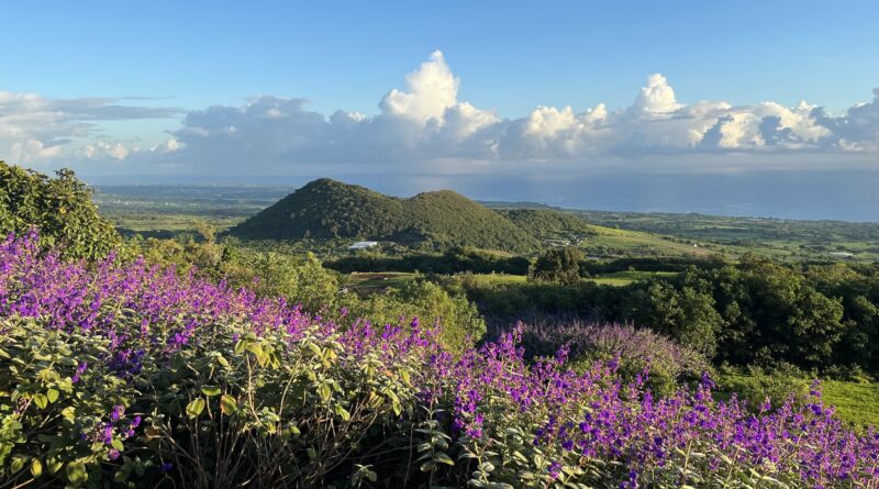 Dormir dans un hôtel de luxe sur l'île de La Réunion avec une vue magnifique, direction le Diana Déa Lodge