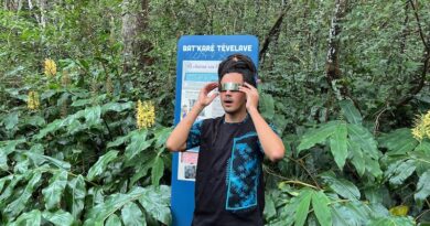 Balades Créatives, Balades Spectacles, île de La Réunion