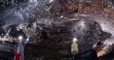 Tunnel de lave, île de La Réunion