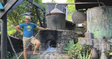 Découvrir les huiles essentielles de La Réunion, La Fontaine Aromatique, Saint-Leu