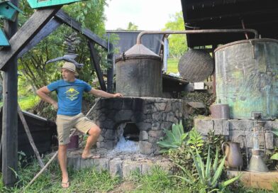 Découvrir les huiles essentielles de La Réunion, La Fontaine Aromatique, Saint-Leu