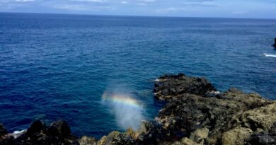 Le souffleur, site touristique, Saint-Leu, île de La Réunion