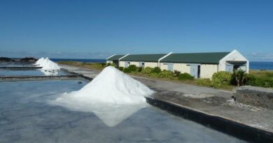 Découvrir le musée du sel de Saint-Leu, secteur ouest de l'île de La Réunion