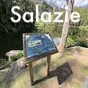 Circuit Salazie avec les guides de La Réunion